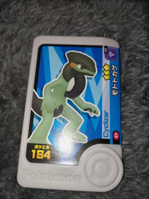 ポケモンフレンダ*モトトカゲ*未使用 < トレーディングカード  ポケモンフレンダ*モトトカゲ*未使用  < トレーディングカードの