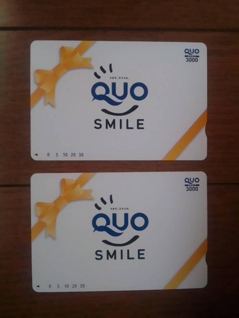 �N�I�J�[�h3000�~2��  �� �`�P�b�g/������ 