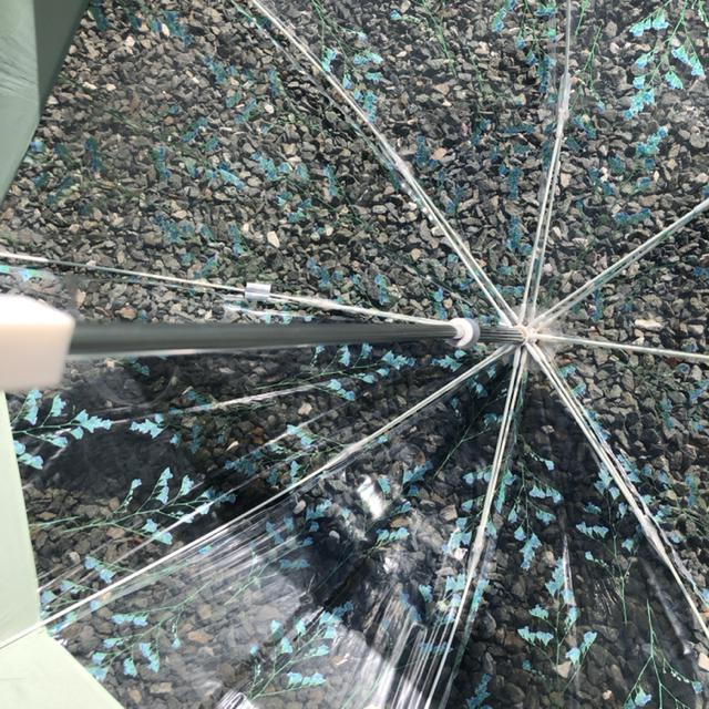 即決 plantica wpc 長傘 < 女性ファッション 即決 plantica wpc 長傘 < 女性ファッションの