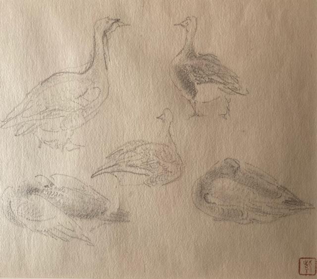 G f` 匴(΂炵ق) L wx^ۏ   zr[ 