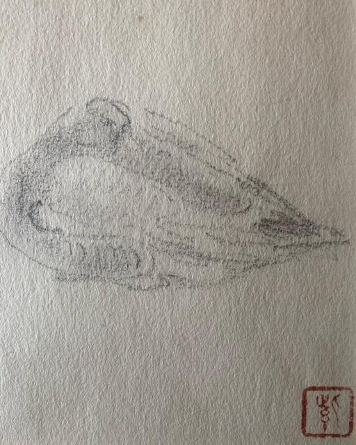 G f` 匴(΂炵ق) L wx^ۏ   zr[ 