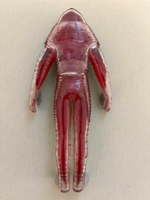 VEg}Uulo_C\trl`Vi^Ot  zr[ 