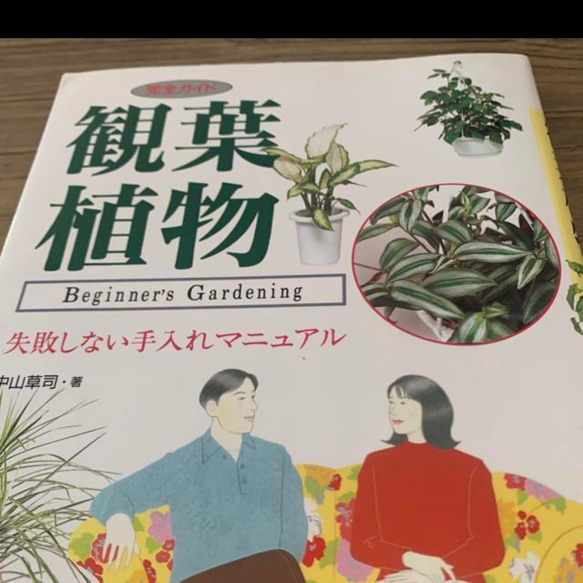 観葉植物。趣味 < 本/雑誌  観葉植物。趣味 < 本/雑誌の