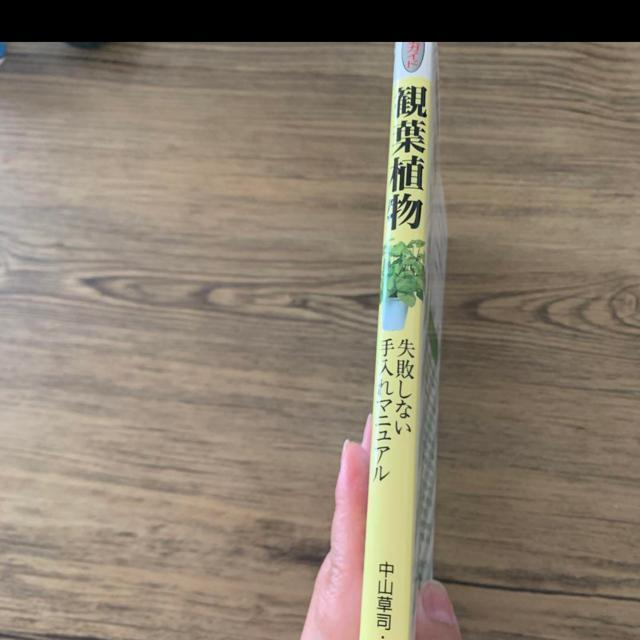 観葉植物。趣味 < 本/雑誌  観葉植物。趣味 < 本/雑誌の