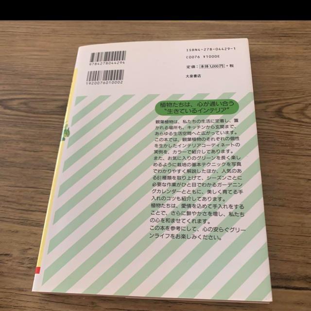 観葉植物。趣味 < 本/雑誌  観葉植物。趣味 < 本/雑誌の