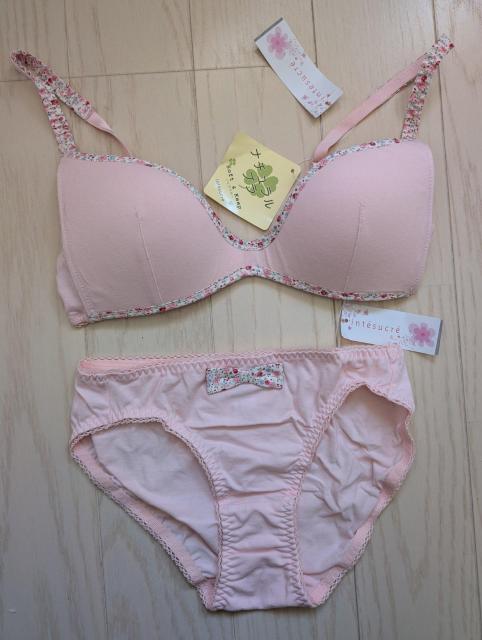 lintesucrei`mC[uW[V[cZbgVi^Ot