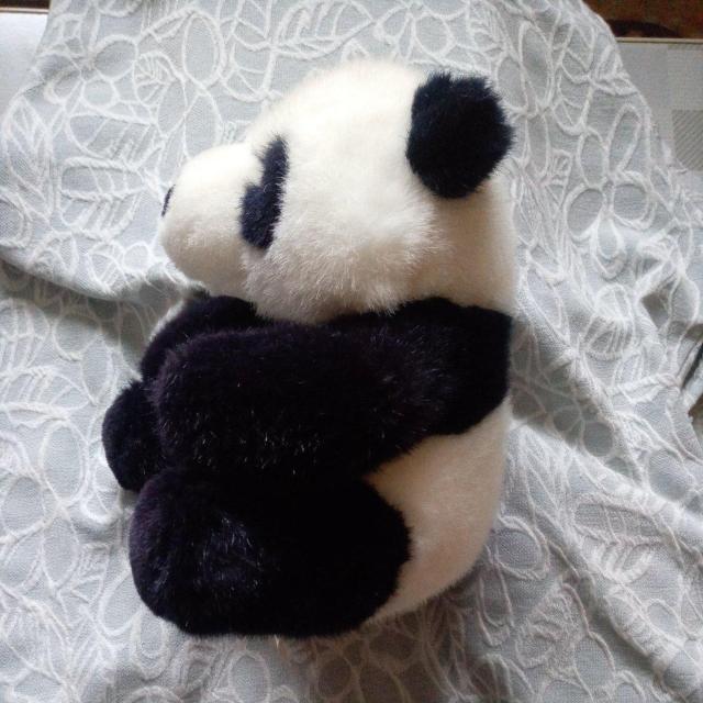 パンダのぬいぐるみ < おもちゃ  パンダのぬいぐるみ < おもちゃの