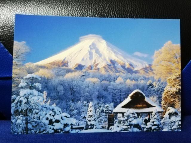 y|XgJ[hz xmREEY   zr[ 