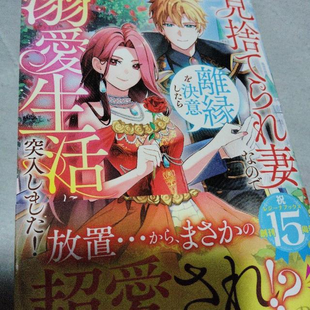見捨てられ妻なので離縁を決意したら溺愛生活に突入しました < 本/雑誌 見捨てられ妻なので離縁を決意したら溺愛生活に突入しました < 本/雑誌の