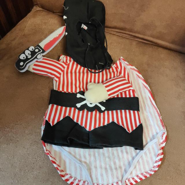 新品未使用☆ペット服 海賊 インスタ映え L < ペット/手芸/園芸 新品未使用☆ペット服 海賊 インスタ映え L < ペット/手芸/園芸の