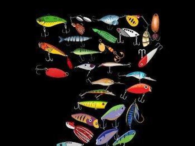 nCNIeB[ TVcނ@A[@Jt  jt@bV 