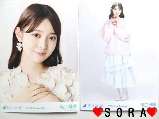 【乃木坂46/阪口珠美】2024年 Lucky Bag ラッキーバッグ福袋♪生写真2枚組セット < タレントグッズ  【乃木坂46/阪口珠美】2024年 Lucky Bag ラッキーバッグ福袋♪生写真2枚組セット  < タレントグッズの