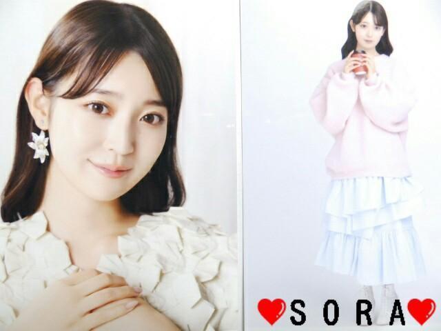【乃木坂46/阪口珠美】2024年 Lucky Bag ラッキーバッグ福袋♪生写真2枚組セット < タレントグッズ  【乃木坂46/阪口珠美】2024年 Lucky Bag ラッキーバッグ福袋♪生写真2枚組セット < タレントグッズの