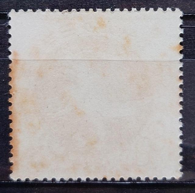 {X {̐؎ gp؎ 1964N IsbN 6 TbJ[  zr[ 