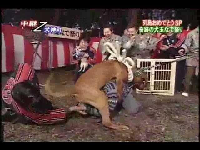 ☆暴走たけし軍団☆愛.裸.湯.3枚セット☆北野武 軍団 < CD/DVD/ビデオ ☆暴走たけし軍団☆愛.裸.湯.3枚セット☆北野武 軍団 < CD/DVD/ビデオの