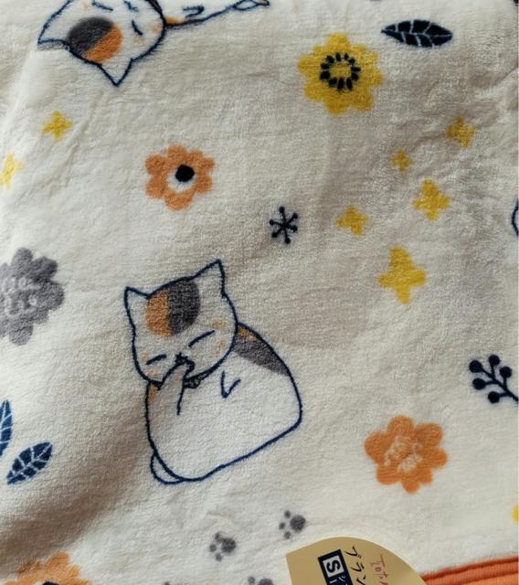 ɂ񂱐搶uPbg   Aj/R~bN/LN^[ 