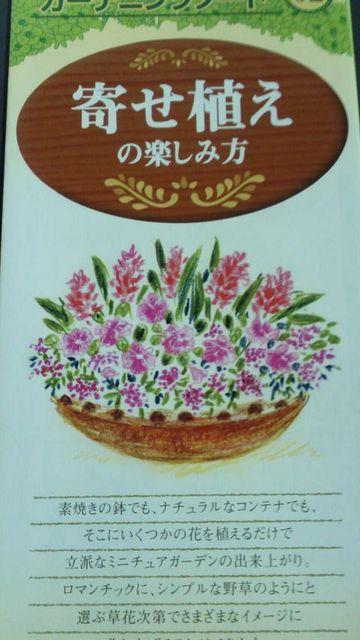 ガーデニング、寄せ植えの楽しみ方冊子 < ペット/手芸/園芸  ガーデニング、寄せ植えの楽しみ方冊子  < ペット/手芸/園芸の