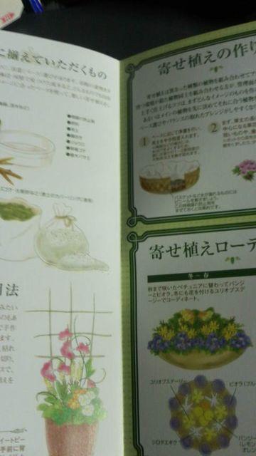 ガーデニング、寄せ植えの楽しみ方冊子 < ペット/手芸/園芸  ガーデニング、寄せ植えの楽しみ方冊子 < ペット/手芸/園芸の