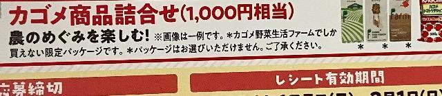 �^�C�A�b�v���J�S�����i�l�ߍ��킹/100���l3��  �� �`�P�b�g/������ 