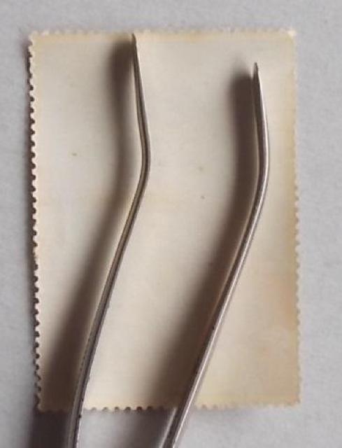 �y���g�p�z1956�N�@�؎��T�ԁ@�s��ڑ��@�P�� �� �z�r�[�� 