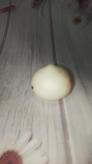 平成レトロ温泉まんじゅうくん中華まんソフビフィギュアマスコット < ホビー  平成レトロ温泉まんじゅうくん中華まんソフビフィギュアマスコット < ホビーの