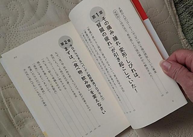 筒井浩一郎/へバーデン結節の8割は食事でよくなる! < 本/雑誌  筒井浩一郎/へバーデン結節の8割は食事でよくなる! < 本/雑誌の