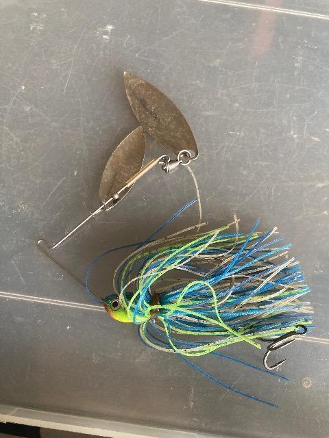 �X�s�i�[�x�C�g�@�A�����J��  �� ���W���[/�X�|�[�c�� 