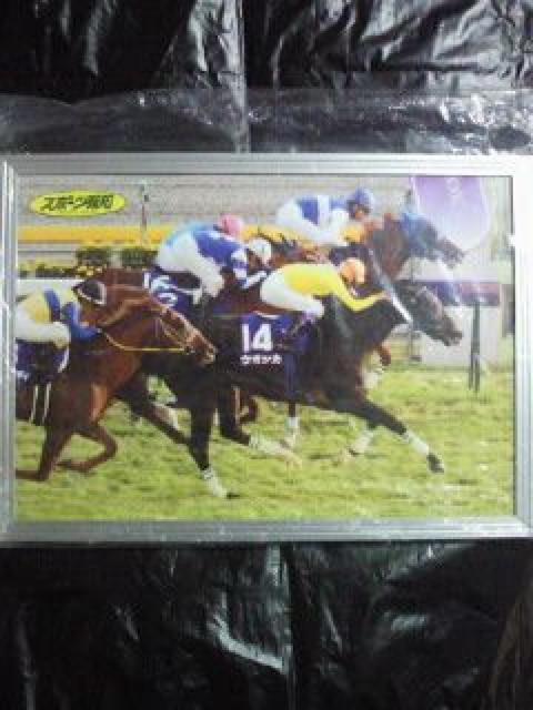 n JRA 08 Vc H X|[cm EHbJ _CXJ[bg S[O pl  zr[ 