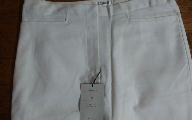 Vi@CONIFER@lTCY@@  t@bV 