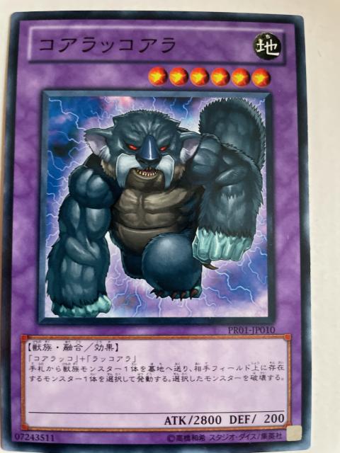 遊戯王【地・コアラッコアラ】 < トレーディングカード 遊戯王【地・コアラッコアラ】 < トレーディングカードの