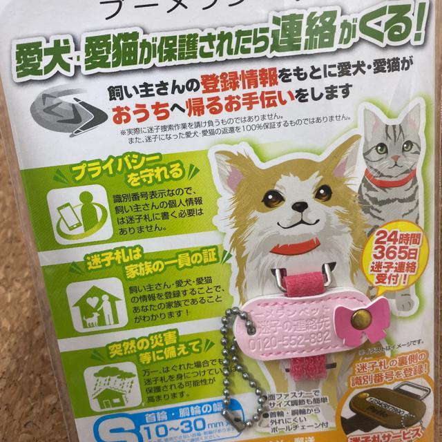 新品未開封ブーメランペットSサイズ犬猫用迷子札ピンク < ペット/手芸/園芸  新品未開封ブーメランペットSサイズ犬猫用迷子札ピンク < ペット/手芸/園芸の