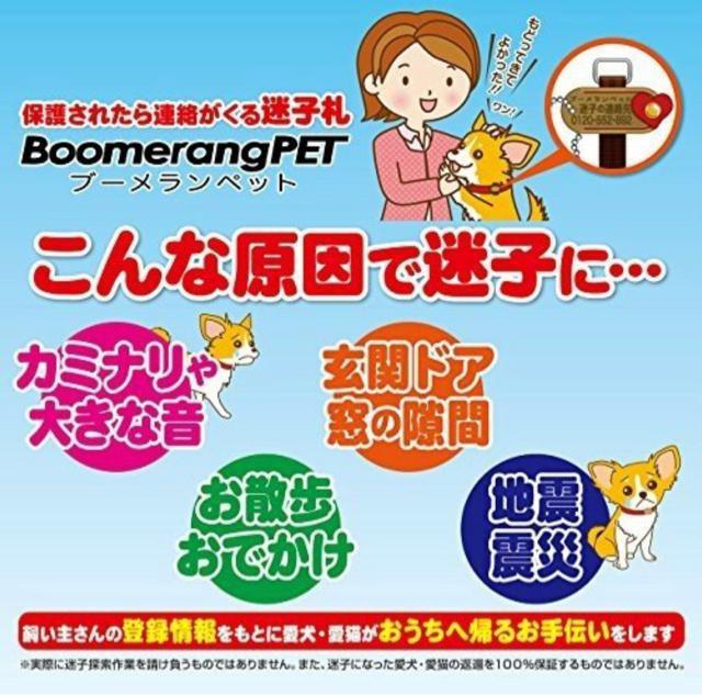 新品未開封ブーメランペットSサイズ犬猫用迷子札ピンク < ペット/手芸/園芸  新品未開封ブーメランペットSサイズ犬猫用迷子札ピンク < ペット/手芸/園芸の