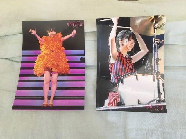 柏木由紀写真 < タレントグッズ  柏木由紀写真  < タレントグッズの