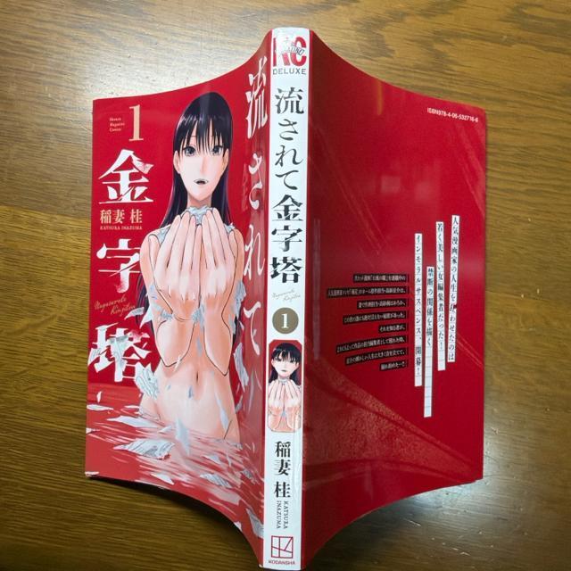 流されて金字塔 1巻 稲妻桂 (KCデラックス) < アニメ/コミック/キャラクター 流されて金字塔 1巻 稲妻桂 (KCデラックス) < アニメ/コミック/キャラクターの
