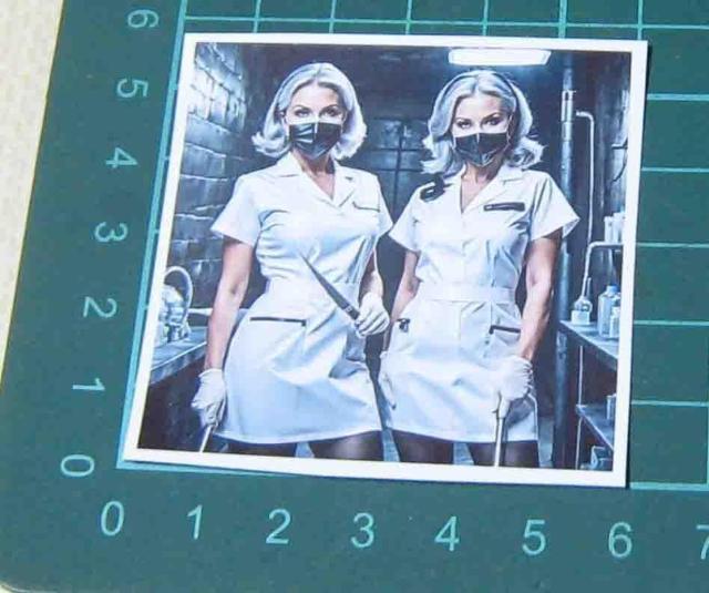 ��Ãe�[�}�@�z���[ �@�X�e�b�J�[  �� �z�r�[�� 