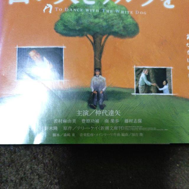 ����DVD�@�������ƃ����c�� �� CD/DVD/�r�f�I�� 