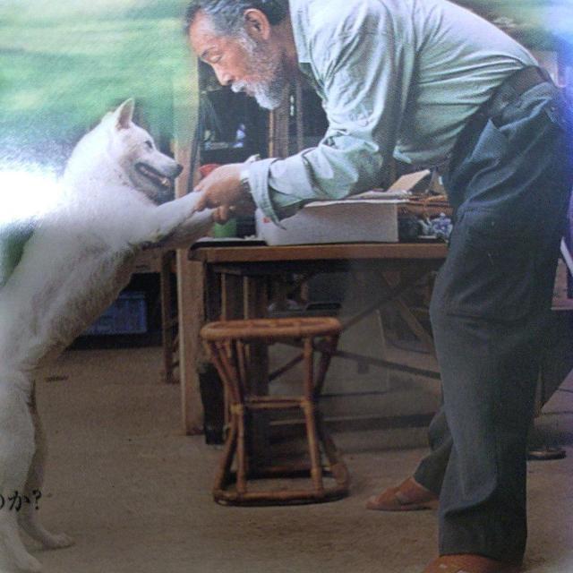 ����DVD�@�������ƃ����c�� �� CD/DVD/�r�f�I�� 