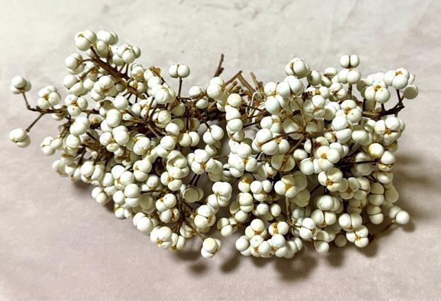 大粒良品 S級 ナンキンハゼ 南京ハゼ 50本 スワッグ リースなどに < インテリア/ライフ 大粒良品 S級 ナンキンハゼ 南京ハゼ 50本 スワッグ リースなどに < インテリア/ライフの