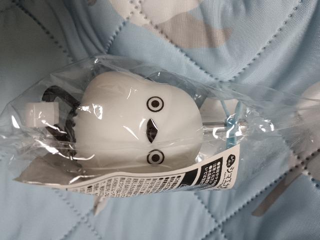 �V�}�G�i�K�A�����v���y�������  �� ��������� 