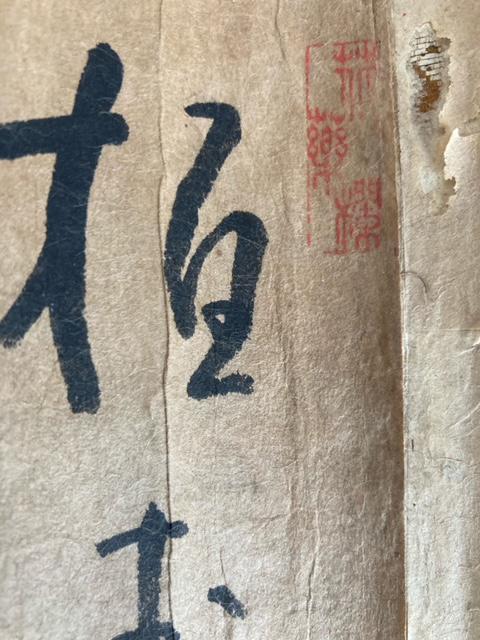  ڍׂ͈ؕs 2m65p  ^ۏ  zr[ 