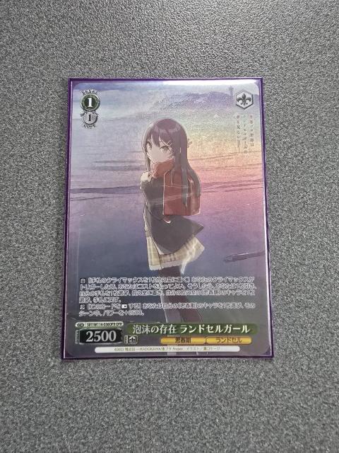 @CXV@c Ȃ݃hZK[ OFR 