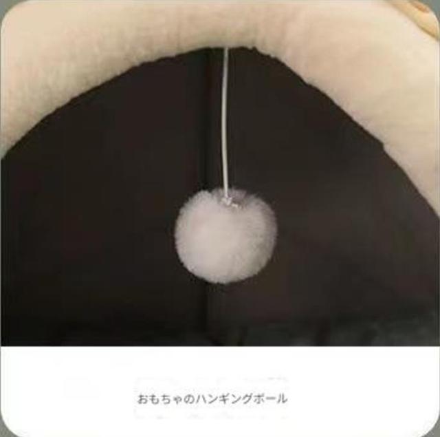 �J�G�� �L�̓��A�x�b�h ���^�� ������ �y�b�g�A�N�Z�T���[ �����L�p �� �y�b�g/��|/���|�� 