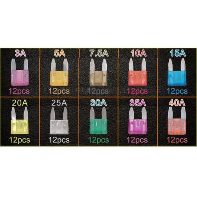 120^q[Y ԃu[hq[Y  /oCN