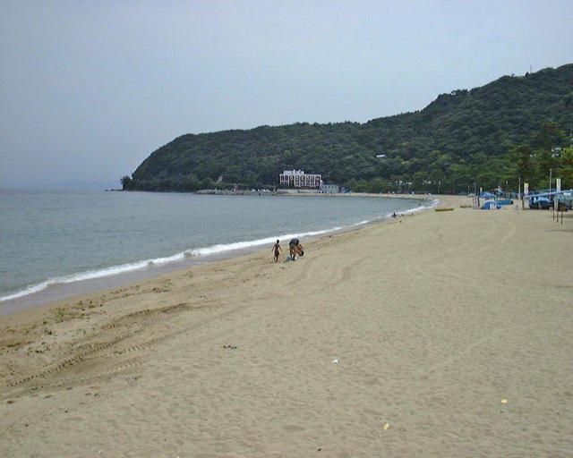 DVDӖV΋ԃM`@Us  CD/DVD/rfI 