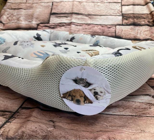 ITCYIbVHŒʋCQI񁕃lRсIXNGAybg\t@P  ybg/|/| 