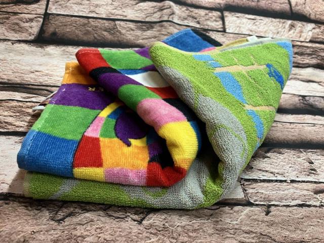 Jtȏۂ̕ۓIIyG}[zWK[h&V[OhJtFCX^I(摜)P1,320~c  CeA/Ct 