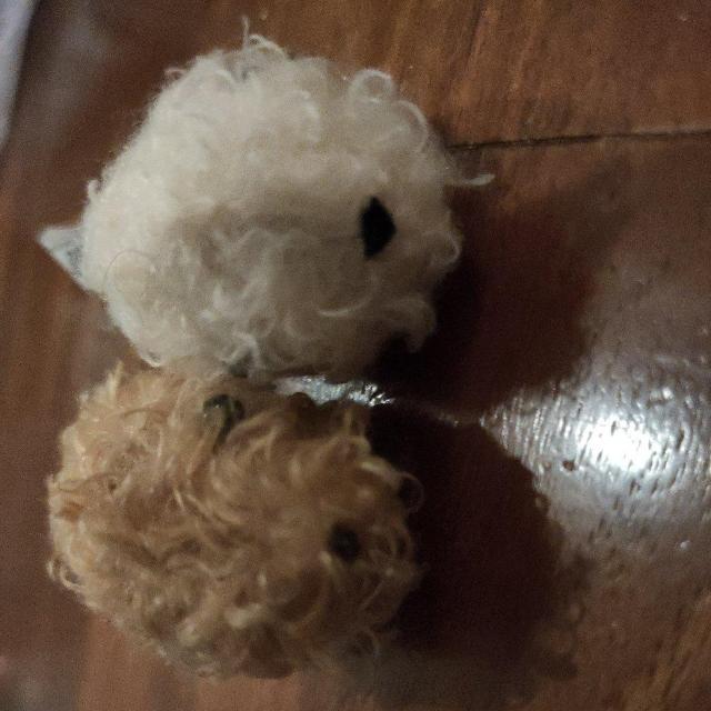 ☆カピバラさんちびふわマスコット☆ < ホビー ☆カピバラさんちびふわマスコット☆ < ホビーの