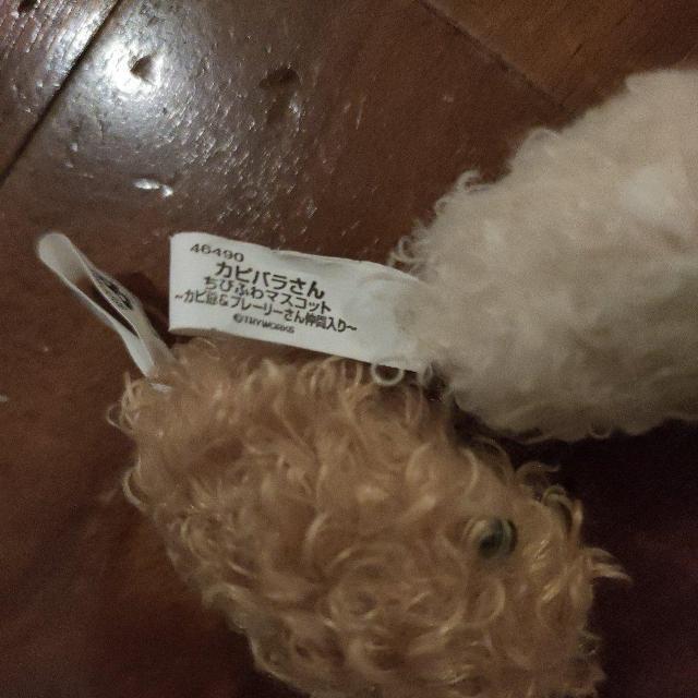 ☆カピバラさんちびふわマスコット☆ < ホビー ☆カピバラさんちびふわマスコット☆ < ホビーの