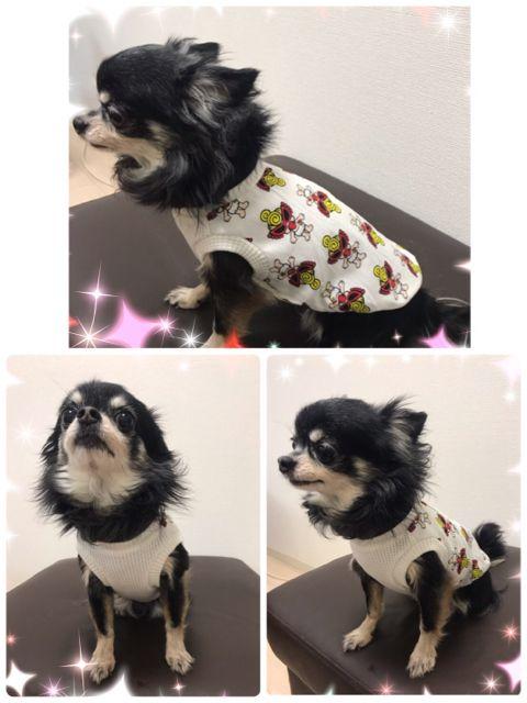★ハンドメイド ヒスミニ シャツ アメリカン柄 黒 白 犬服 S★ < ペット/手芸/園芸  ★ハンドメイド ヒスミニ シャツ アメリカン柄 黒 白 犬服 S★ < ペット/手芸/園芸の