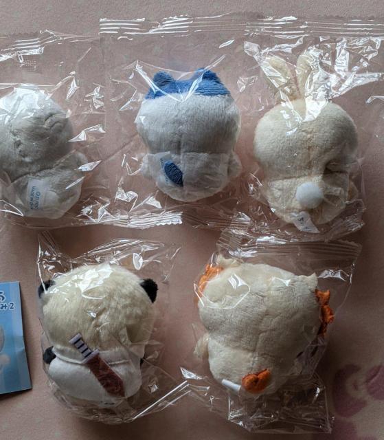 ちいかわ  お座りぬいぐるみコンプセット  ちいかわ  ハチワレ  うさぎ  シーサー  ラッコ < アニメ/コミック/キャラクター  ちいかわ  お座りぬいぐるみコンプセット  ちいかわ  ハチワレ  うさぎ  シーサー  ラッコ < アニメ/コミック/キャラクターの